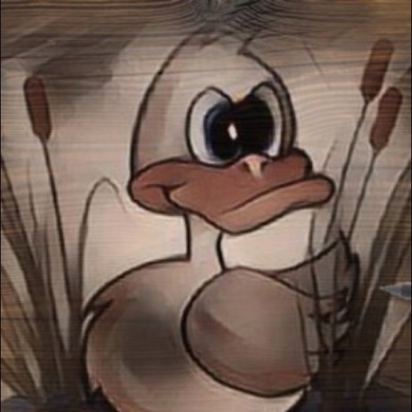 duckster62